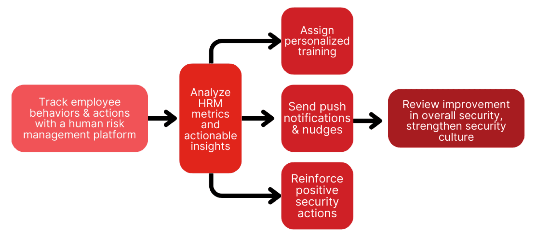 Forrester Blog 3 flow chart graphic