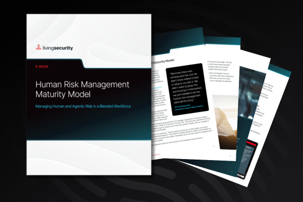 Maturity Model