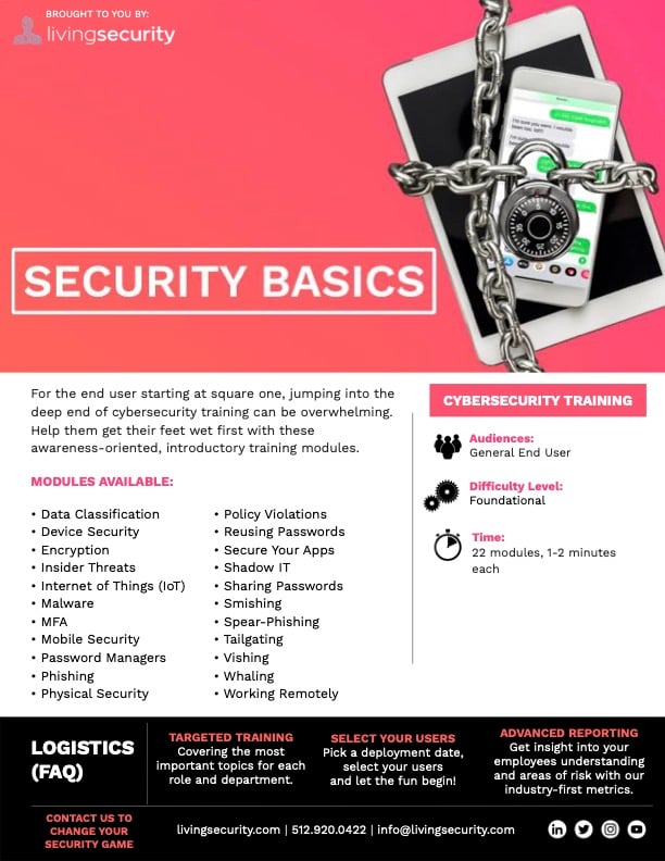 SecurityBasics_ClientMarketingFlyer_8-5x11_THUMBNAIL