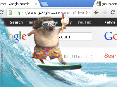 surfing giphy