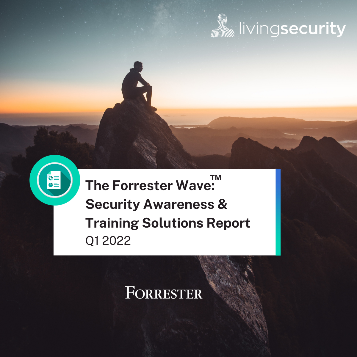Forrester Wave Home Page promo