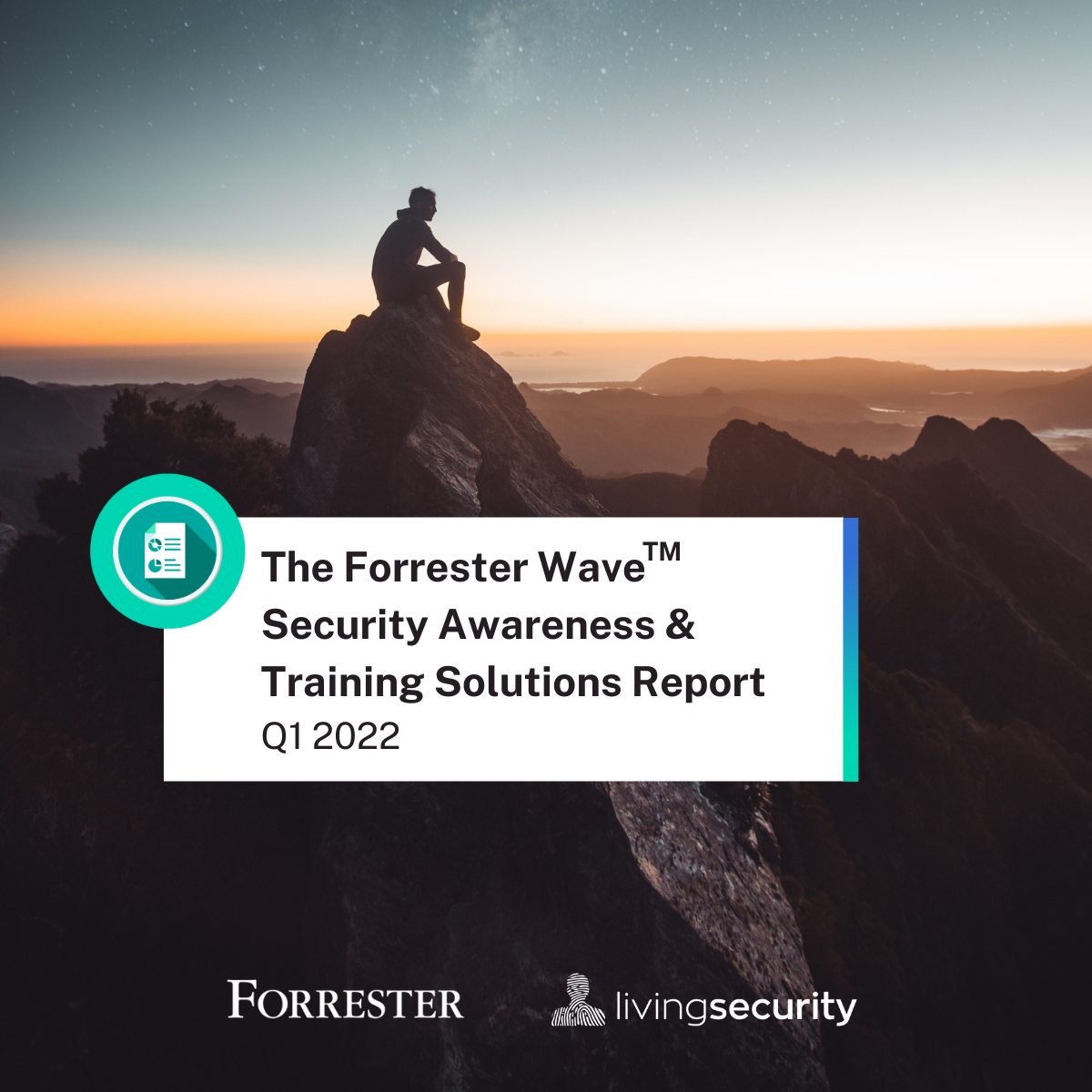 The Forrester Wave - Living Security - Mountain Top-1-1